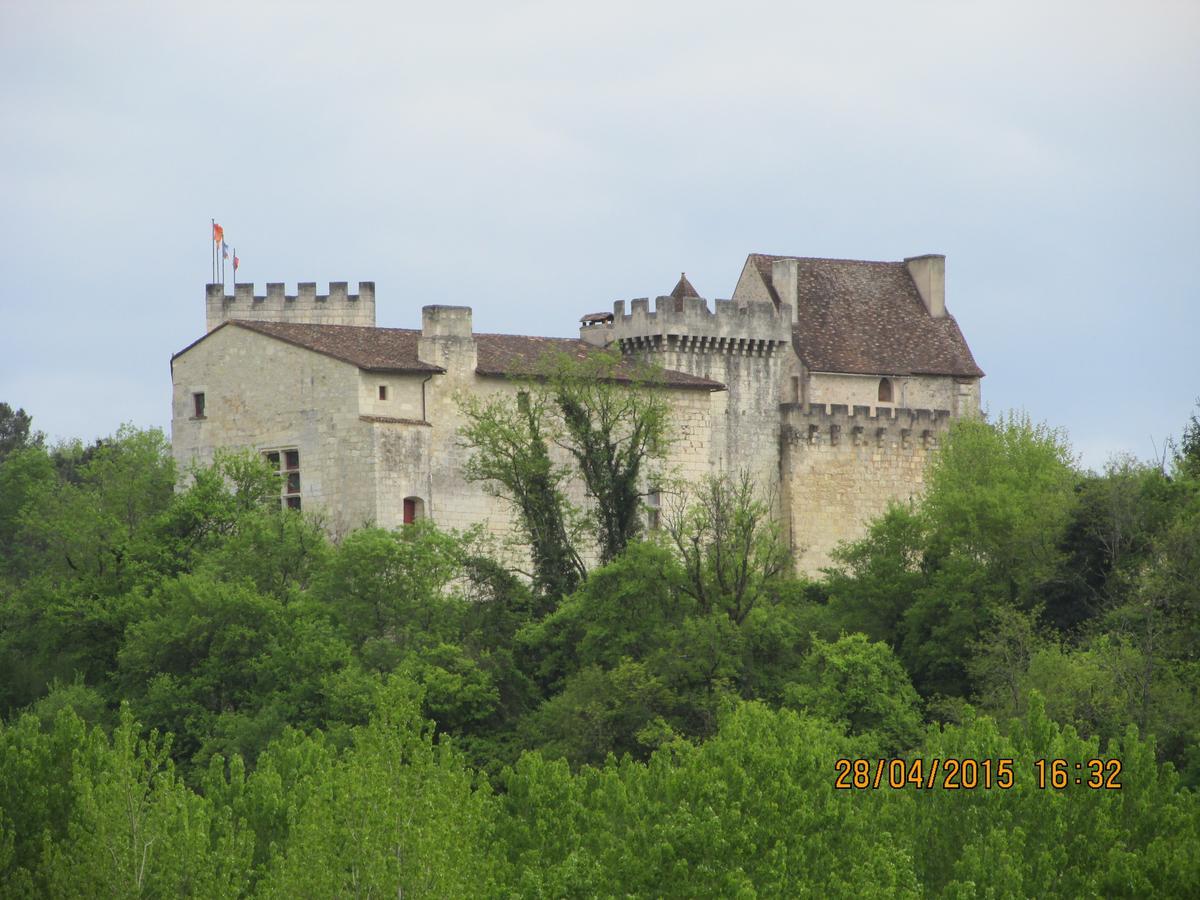 Hotel Le Relais Du Chateau Grignols  ภายนอก รูปภาพ